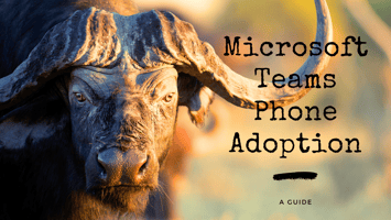 A Strategic Approach to Microsoft Teams Phone, don't be afraid of the bull.